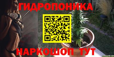 дмт Пенза